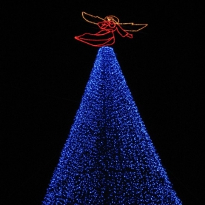 Osborne Lights tree