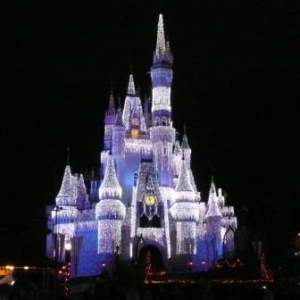 THE castle at night!
