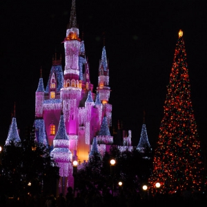 Cinderella Christmas Castle 2007