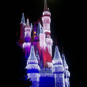Castle by Moonlight