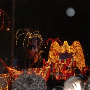 Electric Lights Parade - Flag cont.