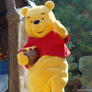 Winnie the Pooh show