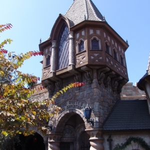 Fantasyland-Disneyland-27