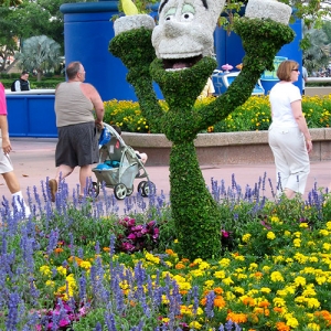 Lumiere topiary