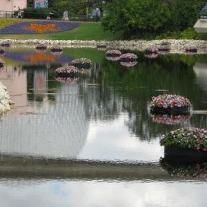 Epcot Flower and Garden from March 2009