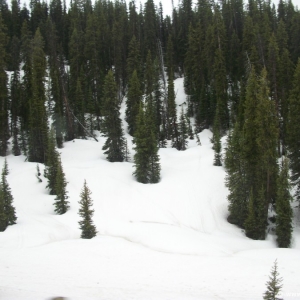 6-Yellowstone-Snow-004