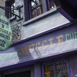 WDWINFO-Universal-Diagon-Alley-061