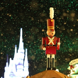 Mickeys-Very-Merry-Christmas-Party-2015-212