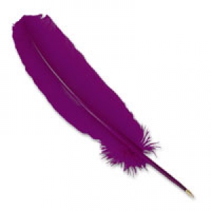 purpleduckfeather