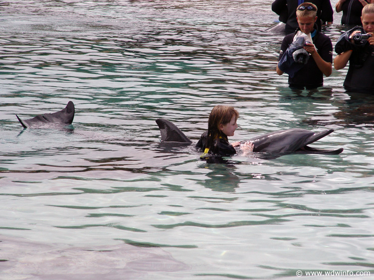 Discovery_Cove_Dolphin_Encounter_11