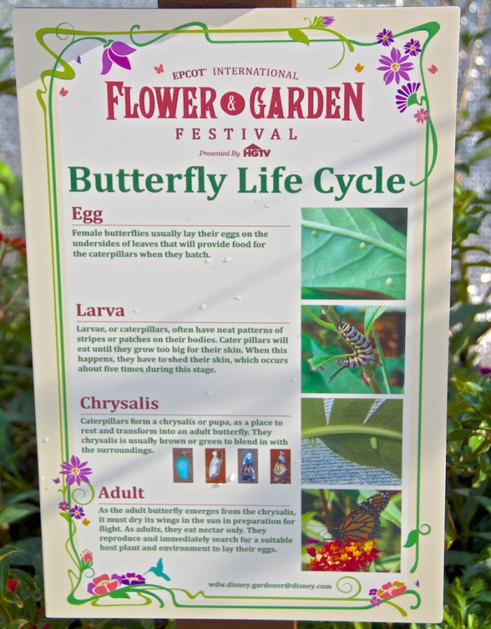 Gardens of the World Tour - Butterfly Life Cycle