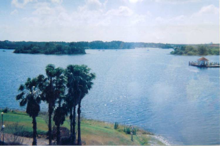 Lagoon View from Monorail