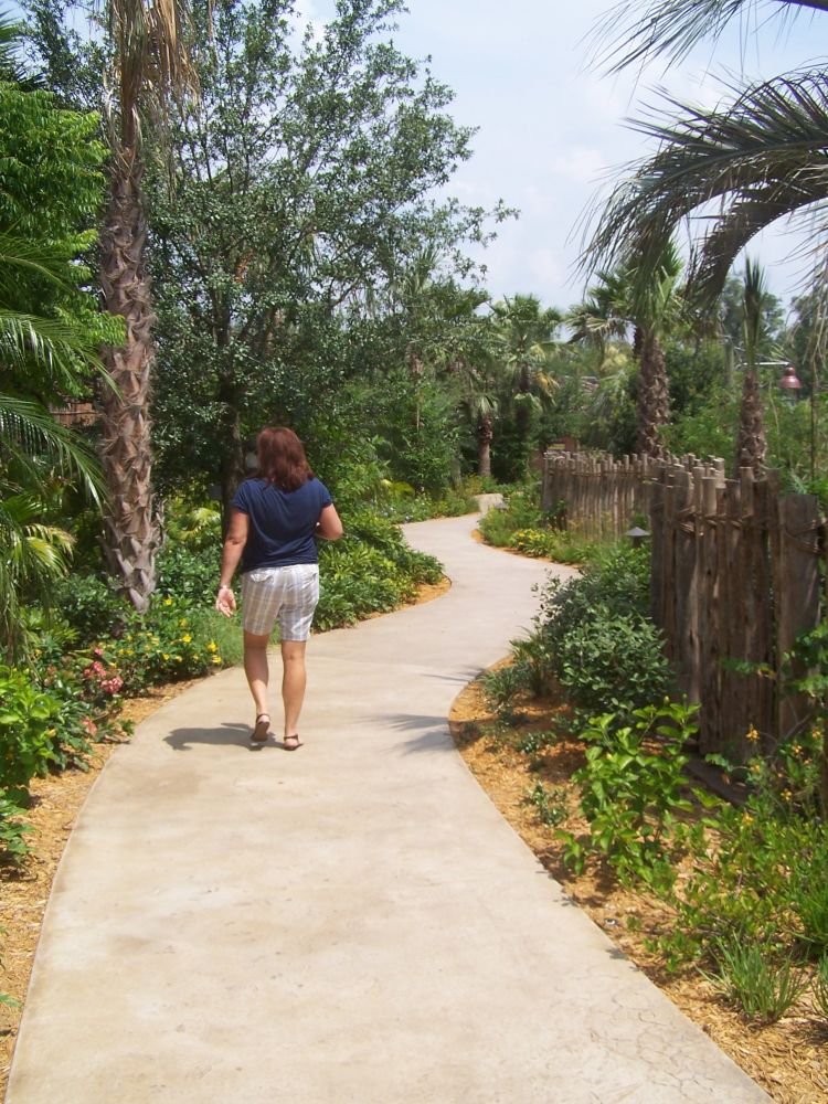 Pathway to Pool.