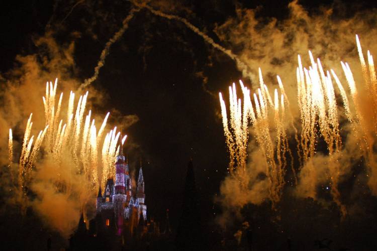 Wishes - Cinderella Castle