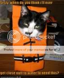 funny-pictures-cat-wears-life-vest.jpg