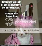 funny-pictures-cat-marries-king-to-.jpg