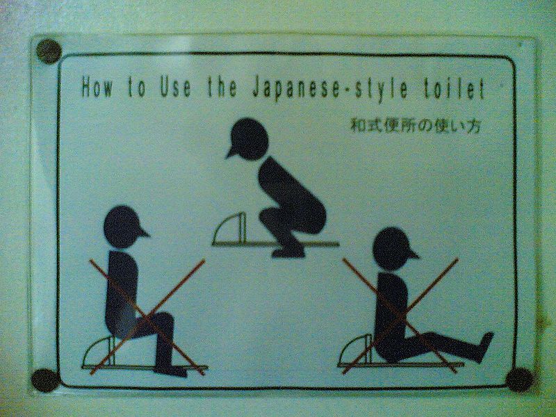 800px-How_to_Use_the_Japanese-style_toilet.jpg