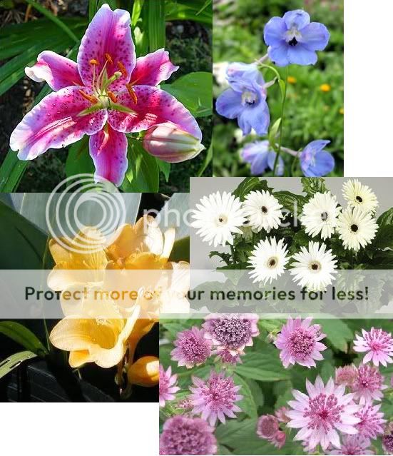 FlowerCollage.jpg