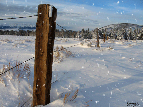 Fencepost-Moving-Snow-2.gif