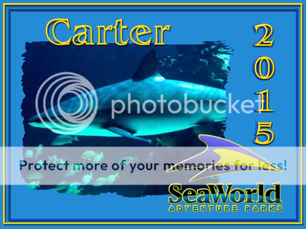 carter_seaworldmany_shark_zpsebc69ffd.jpg