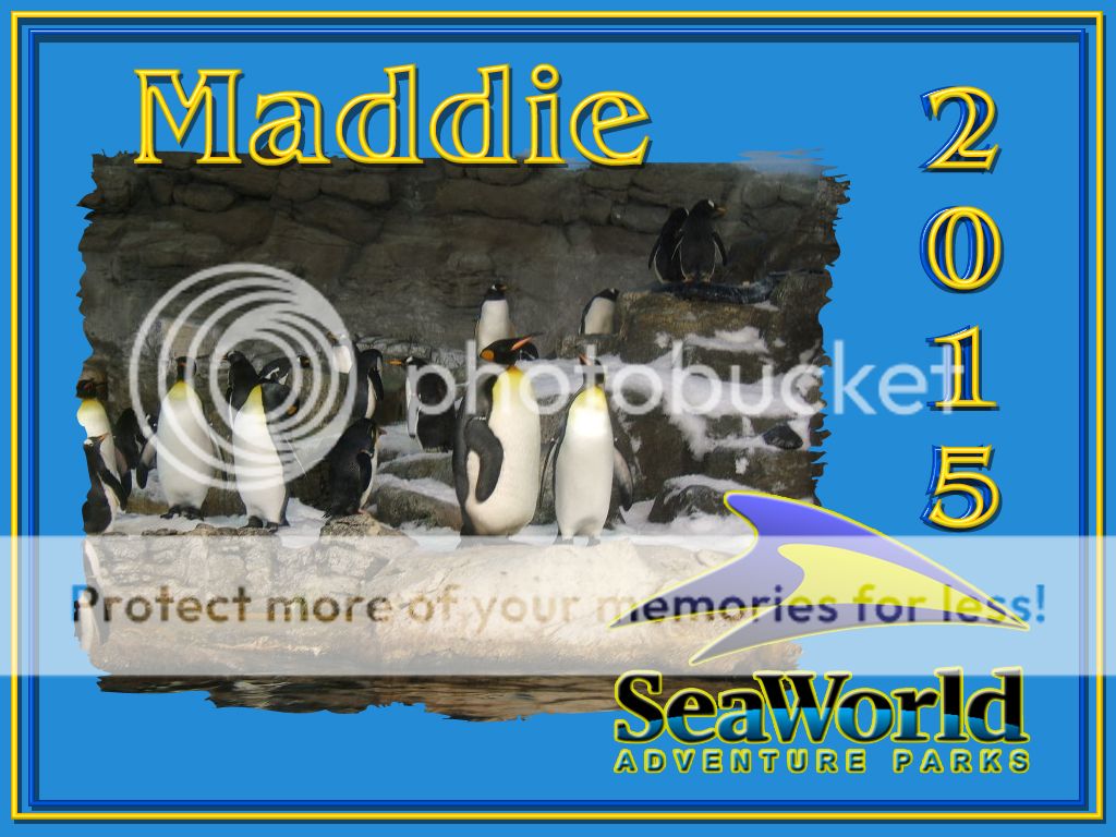 maddie_seaworldmany_penguins_zps92915826.jpg