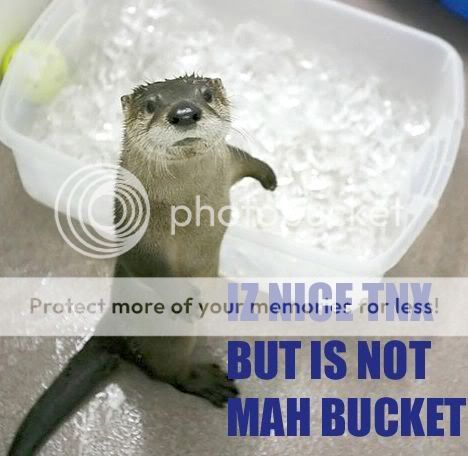 otter-no-bucket.jpg