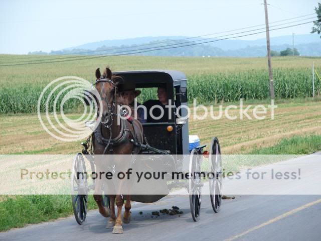 AmishCountry030.jpg