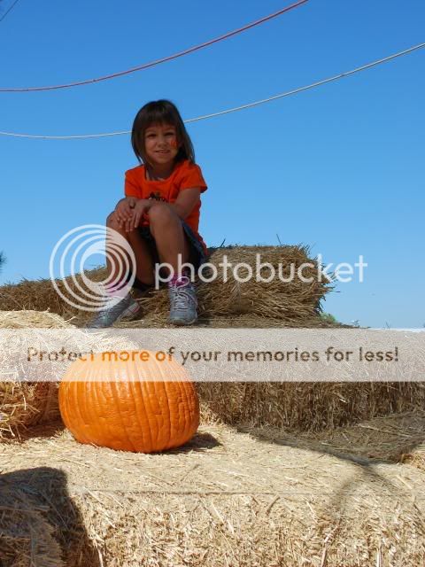 pumpkinpatch09015.jpg