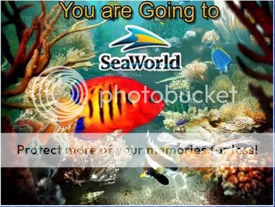 SeaWorld-INVITE3.jpg