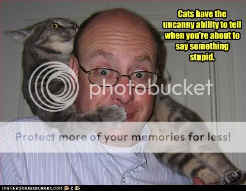funny-pictures-cat-covers-your-mout.jpg