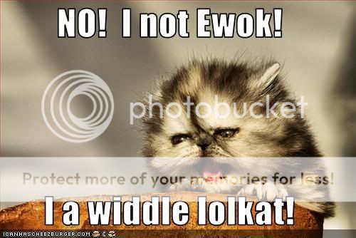 funny-pictures-kitten-looks-like-ew.jpg