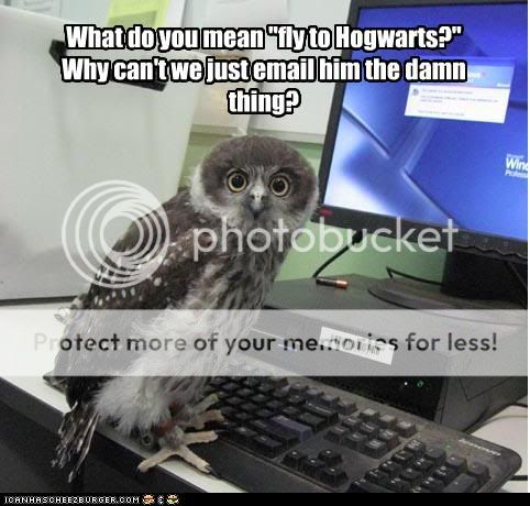 funny-pictures-owl-does-not-want-to.jpg