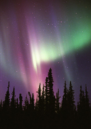 Northern-Lights-canada-2252057-315-444.jpg