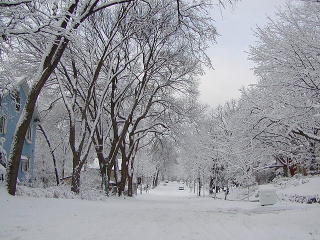 640px-Winter_in_St._Paul.jpg
