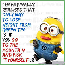 Image result for minion sunday
