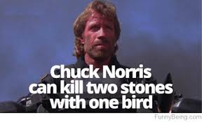Image result for chuck norris memes