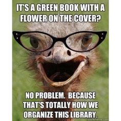 1cded8c711956ee0041758b57f4e61be--ostriches-librarian-humor.jpg