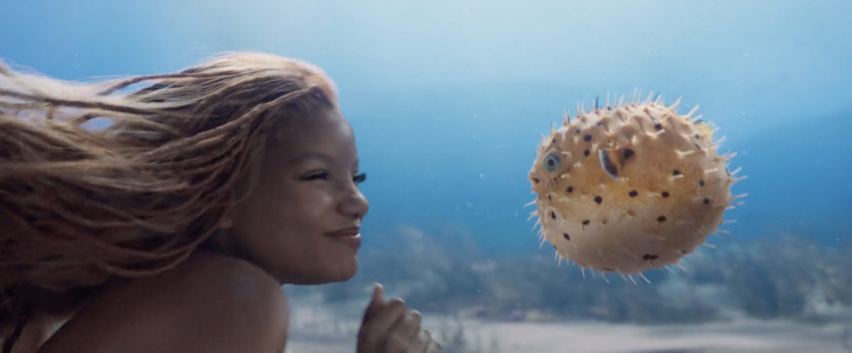 live action little mermaid ariel blowfish