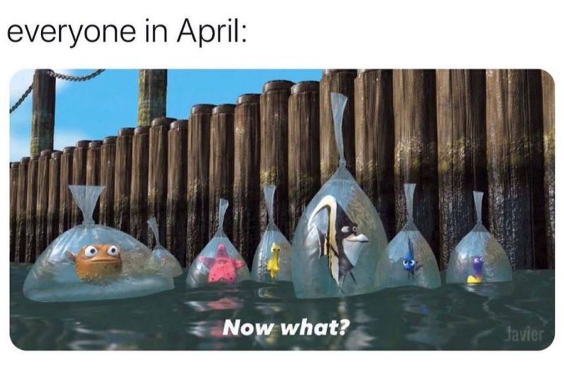 everyone-in-april-now-what-meme.jpg